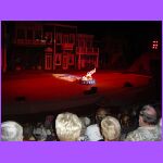 Chinese Golden Dragon Acrobats 5.jpg